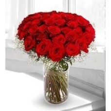 50 red roses in a vase