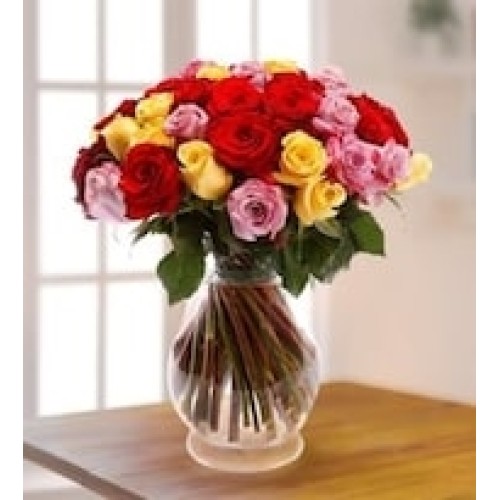 Roses three colors