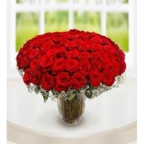 100 Red Roses in Vase