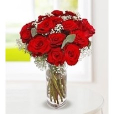 20 Red Roses