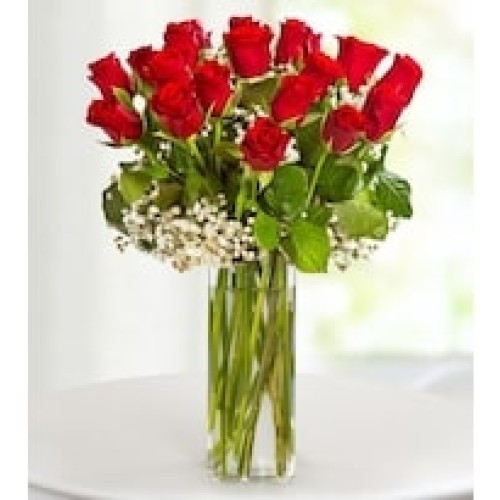20 Red Roses