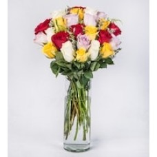 three color roses