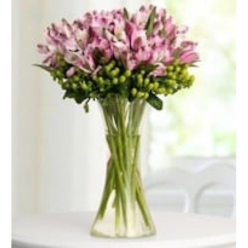 Lilac Astromeliads