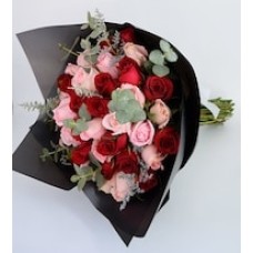 Red and Pink Roses
