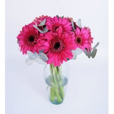 Vase With 6 Gerberas