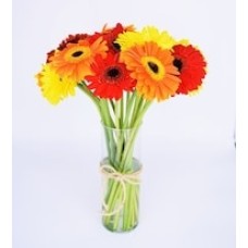 Gerberas in Vase