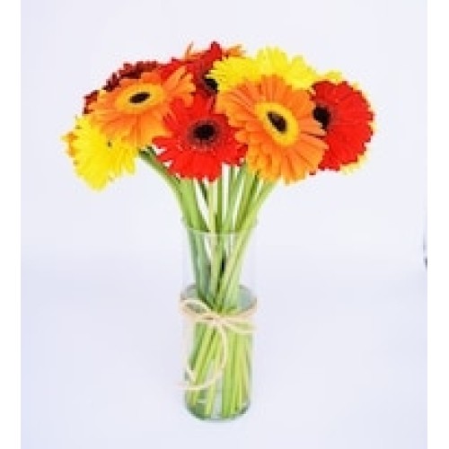 Gerberas in Vase