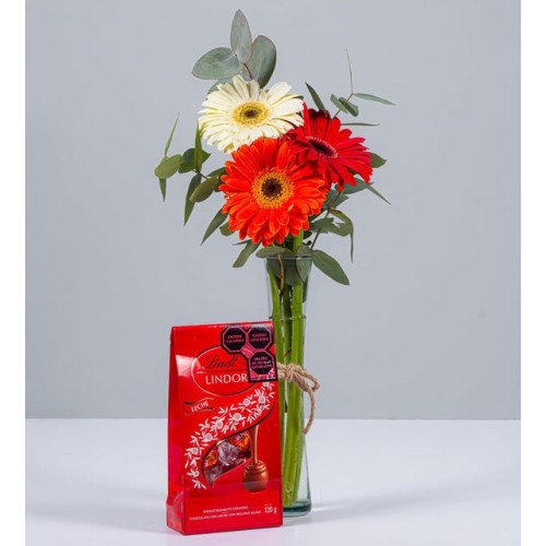 Autumn Gerberas In Violetero And Lindt