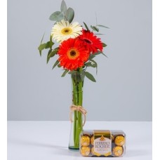 Autumn Gerberas in Violetero and Ferrero 16