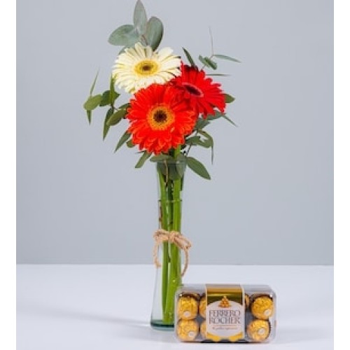 Autumn Gerberas in Violetero and Ferrero 16