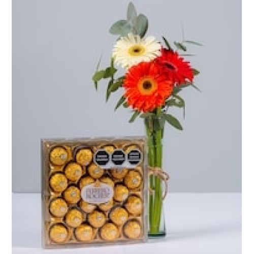 Autumn Gerberas in Violetero and Ferrero 24