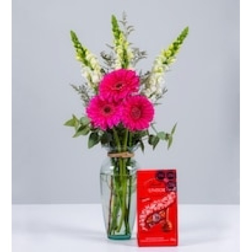 Fuchsia Gerberas, Puppies and Lindt