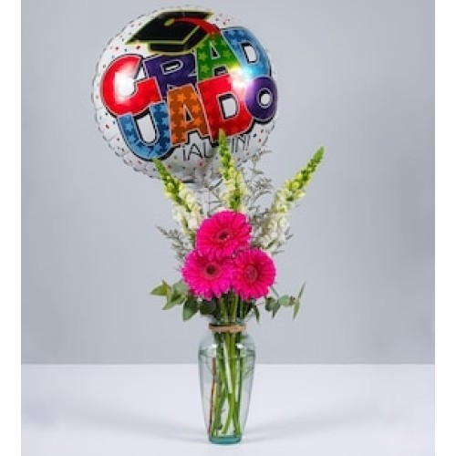 Fuchsia Gerberas, Puppies and Graduation Balloon