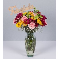 Mixed Daisies Arrangement With Pick Congratulations