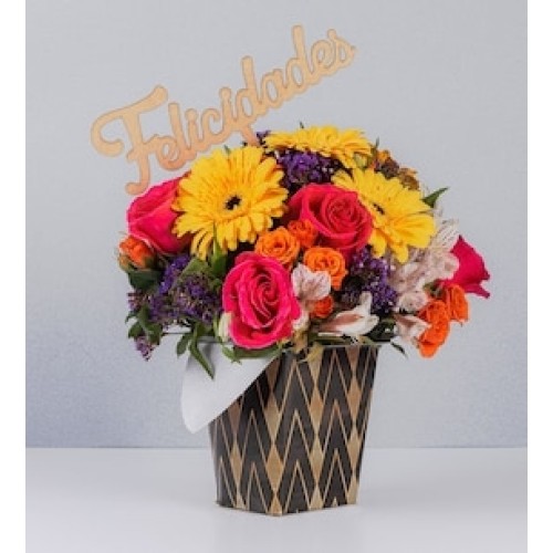 Arrangement of Colors and Pick Congratulations