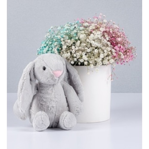 Gipso Colors and Bunny Pot