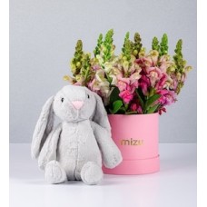 Pink Box of Puppies and Bunny