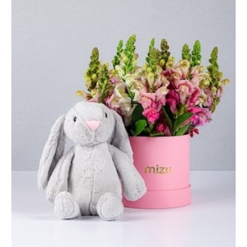 Pink Box of Puppies and Bunny