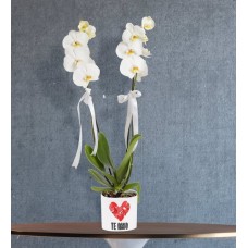 White Orchid Potted With Love Sticker