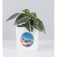 Pottic with a personalized sticker