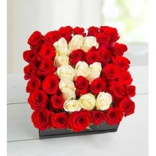 Personalized Letter in Red Roses