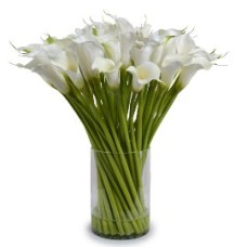 Caring Purity (19 Callas)