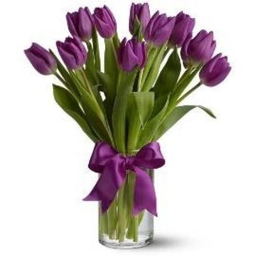 Invigorating the Spirit (11 Tulips)