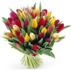 Bouquet of 51 Colorful Tulips