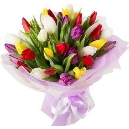 Illusioon 21 Colorful Tulips