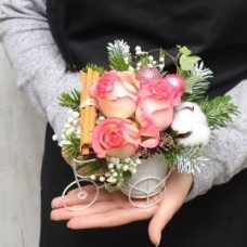 Cute Winter Cart