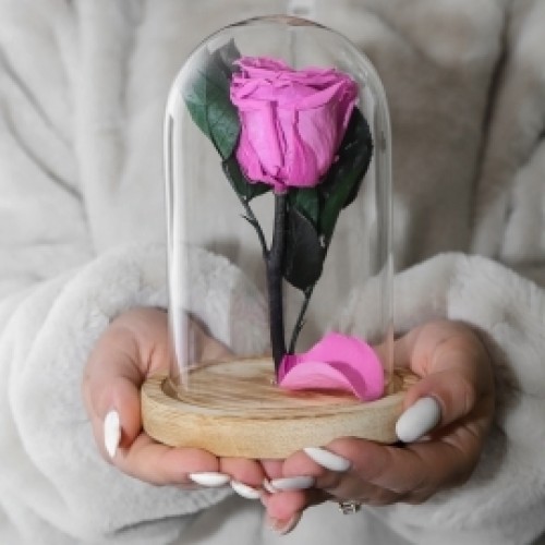 Eternal Rose (Pink Rose)