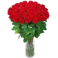 Premium Red Roses (37 Roses)