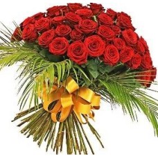 Red Regal Roses (55 Roses)