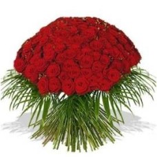 Red Roses with Palm Branches (101 Roses)