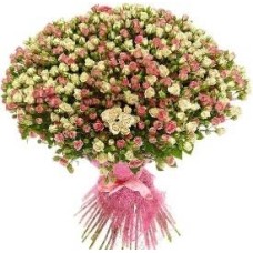 Explosion of Feelings (101 Stems)