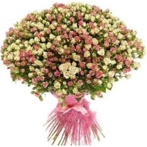 Explosion of Feelings (101 Stems)