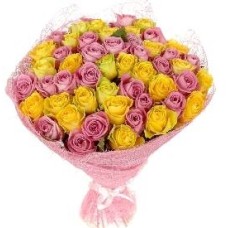 The Harmony of Roses (55 Roses)