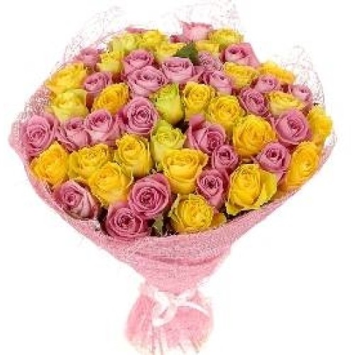 The Harmony of Roses (55 Roses)