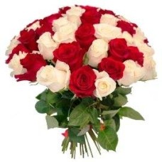 Red & White Roses (27 Roses)