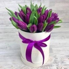 Passionate Purple Tulips (27 Tulips)
