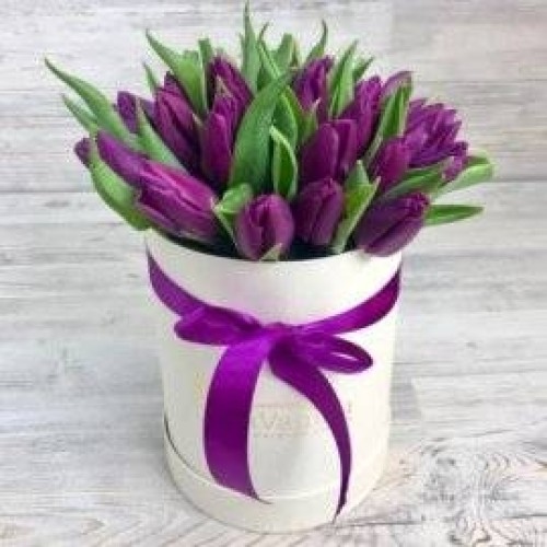 Passionate Purple Tulips (27 Tulips)