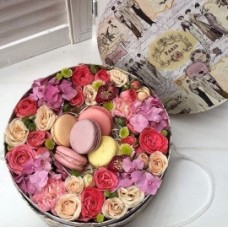 Cute Macarons