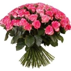 51 Adorable Pink Roses (51 Roses)