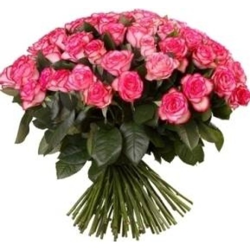 51 Adorable Pink Roses (51 Roses)