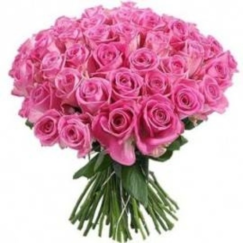 Awesome Pink Roses (55 Roses)