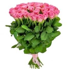 Long-stem Pink Roses (35 Roses)