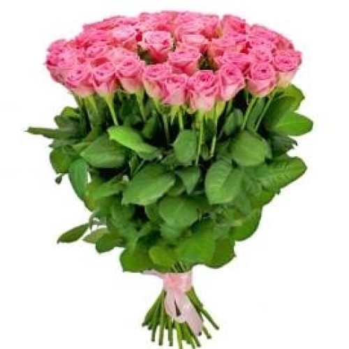 Long-stem Pink Roses (35 Roses)