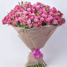 Pink Candy (55 Stems)
