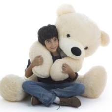 The Big Teddy Bear