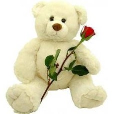 A Red Rose & Teddy Bear (Big - 140 cm)